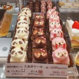 たぬきケーキ・・って！？